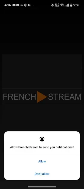 Screenshot of French Stream App